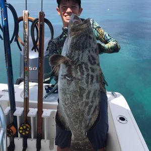 Meet your Posher, Nick